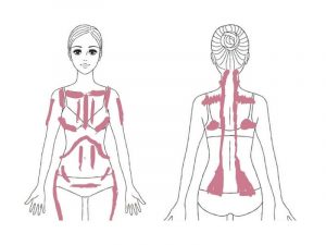 Zonen für die akupressur-Massage vorne und Rücken